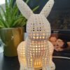 Ruby Rabbit