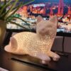 Lotti the Cat