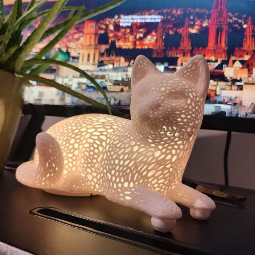Lotti the Cat