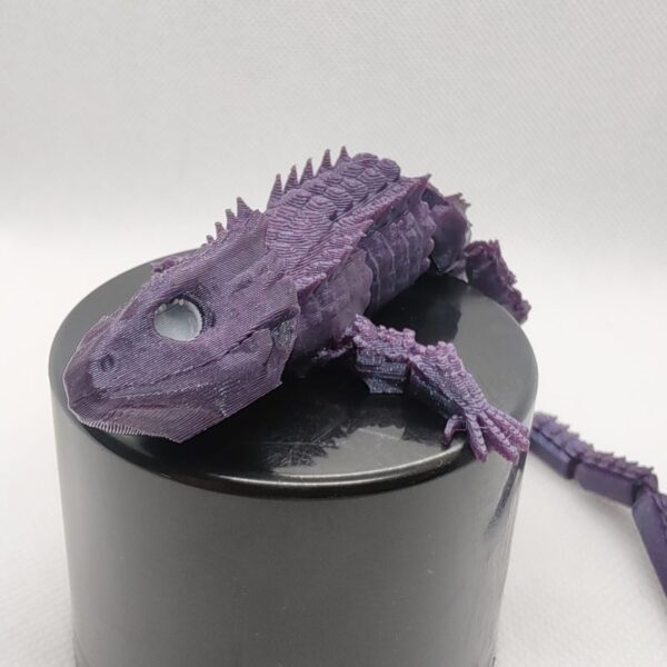 Bearded Dragon