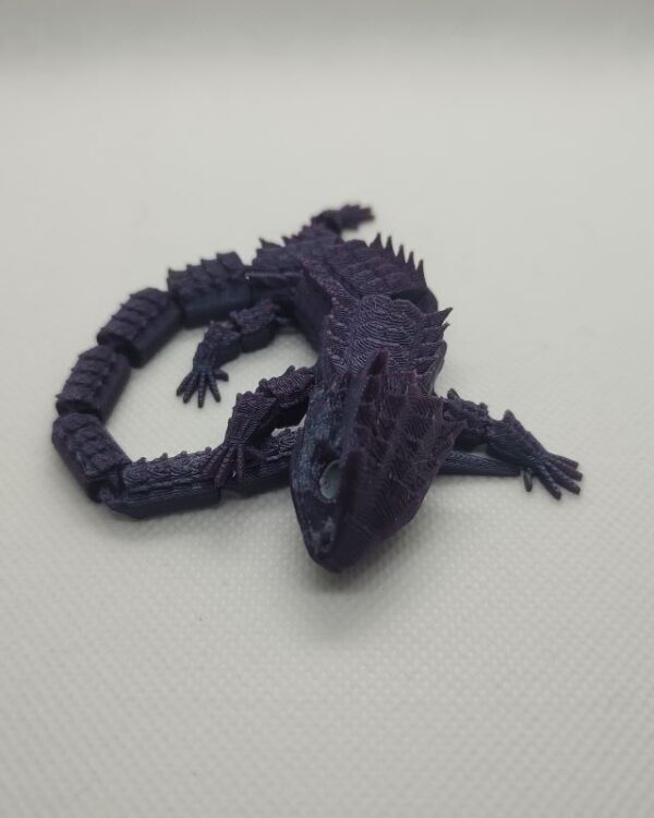 Bearded Dragon