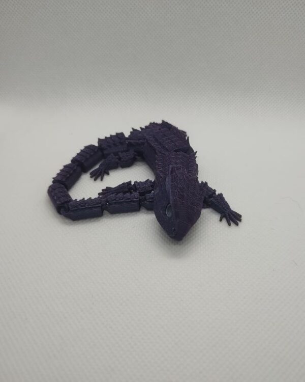 Bearded Dragon