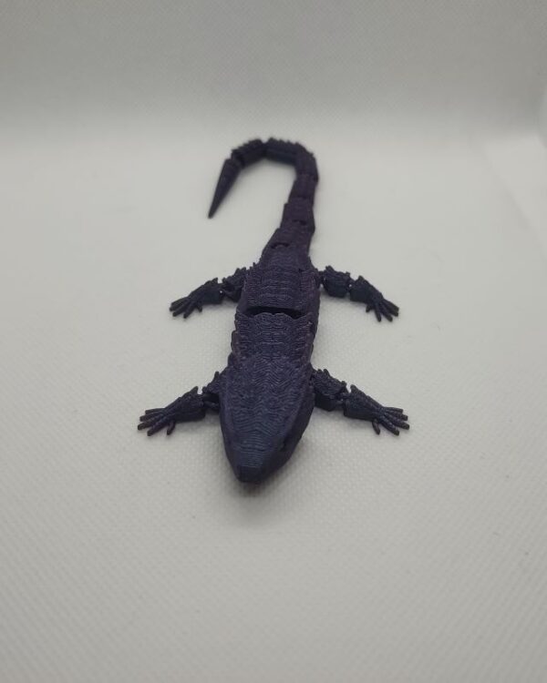 Bearded Dragon